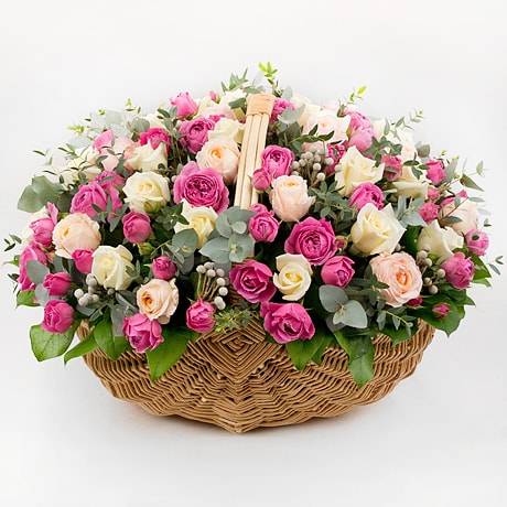 Королеве Королеве