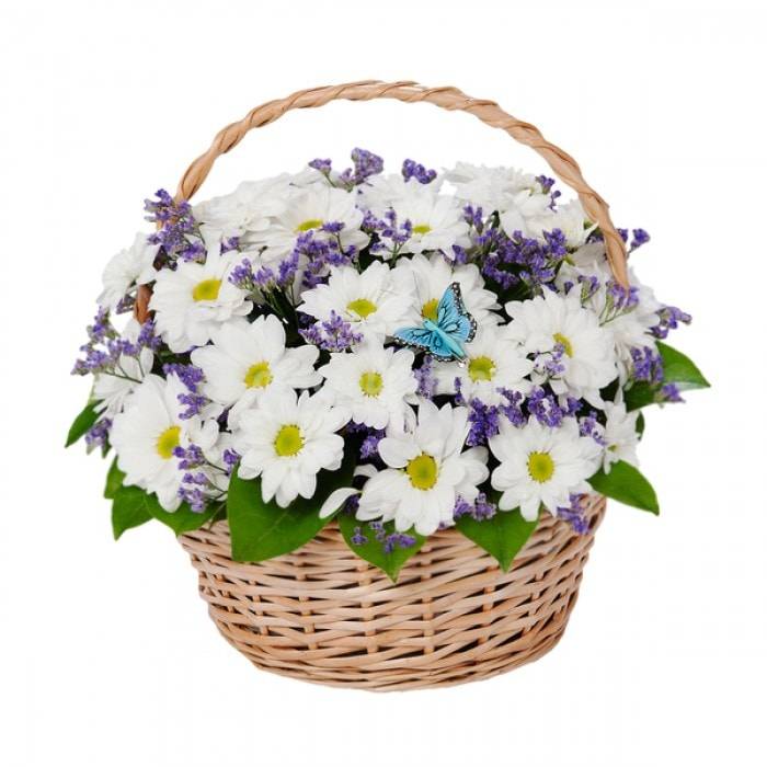 Корзина из ромашек и статицы Корзина из ромашек и статицы