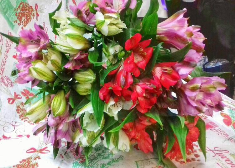 Душевный Душевный